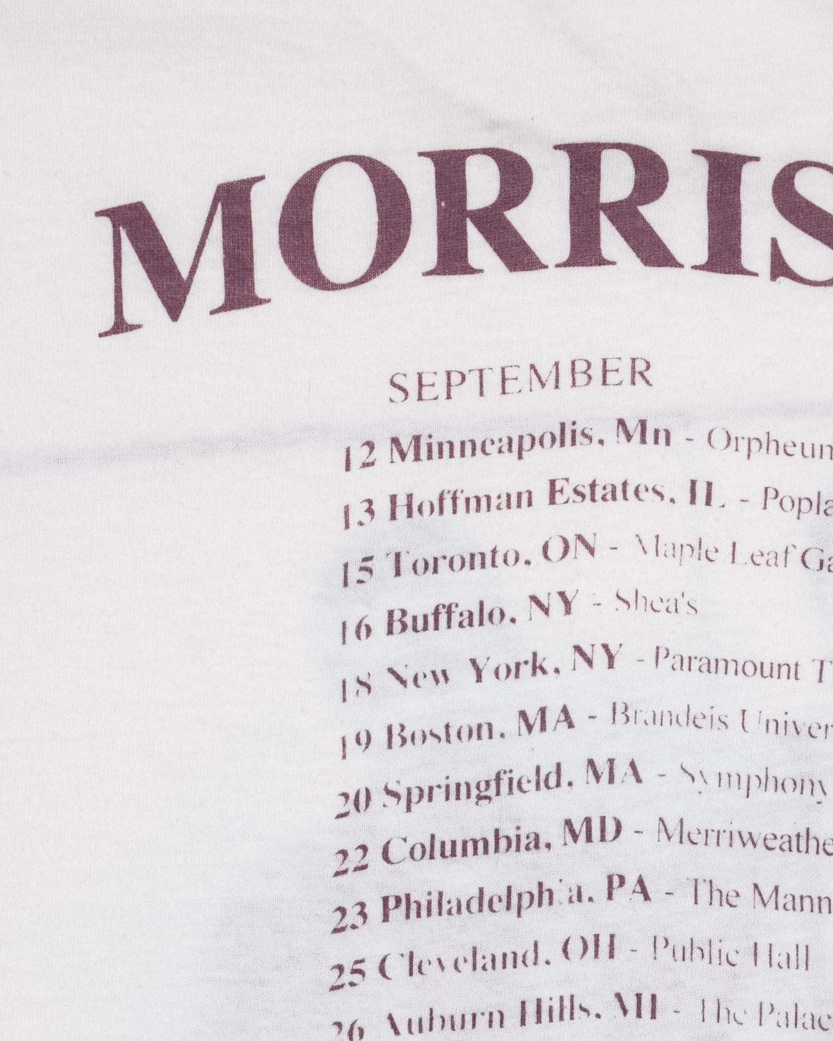 Vintage - Morrissey Your Arsenal, Skinbyrds T-Shirt