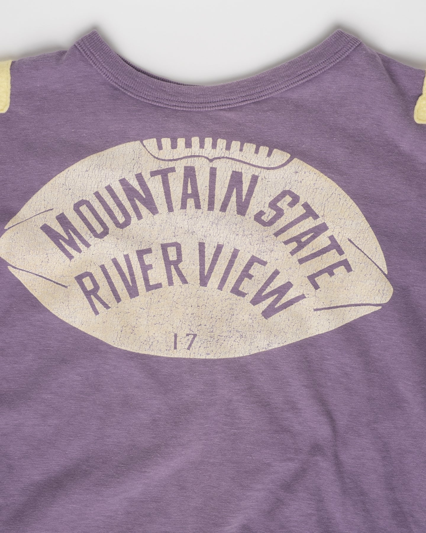 Distressed Lil Americana Tee